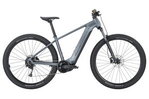 Bulls LT CX Evo 29 Hardtail grau 800 Wh